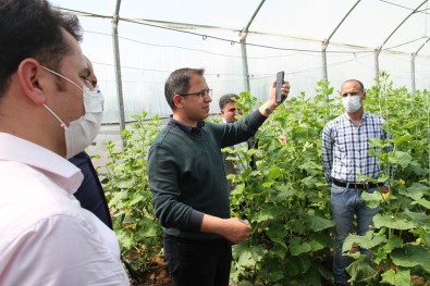 Şırnaklı Çiftçi İlk Mahsulün Gelirini 'Biz Bize Yeteriz Türkiyem' Kampanyasına Bağışlayacak