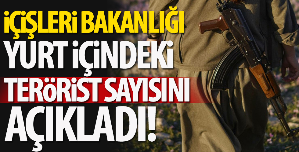 İçişleri Bakanlığı yurt içindeki terörist sayısını açıkladı