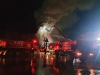 Kastamonu'da Entegre Fabrikasında Yangın