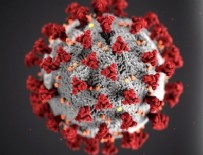 ERKEN TEŞHİS - 13 yeni corona virüsü belirtisi ortaya çıktı!