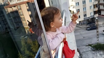 2,5 Yaşındaki Minikten Sokakta Dolaşanlara İlginç Tepki