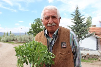65 Yaş Üzeri Vatandaşın Bahçe Bakımını Belediye Ekipleri Yapacak
