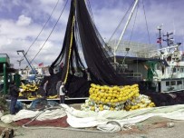 Erdekli Balıkçılar Orkinos Avına Gidecek