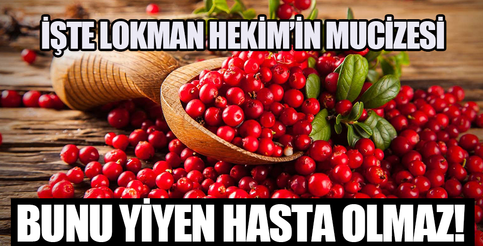 Lokman Hekim'in önerdiği besinler