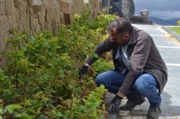 Bünyan'da Yeşil Alanlar Ve Parklarda Çalışmalar Devam Ediyor