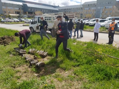 Gürpınar Belediyesinden 'Bu Benim Fidanım' Projesine Destek