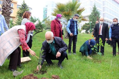 Karantinadaki Vatandaşlar Fidanlarla Uğurlandı