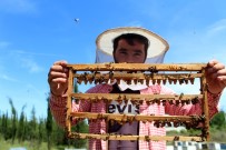 Okul Harçlığı İçin Başladığı Arıcılık Gelir Kapısı Oldu