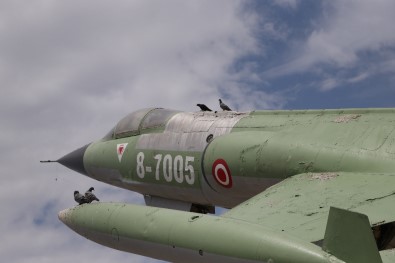 'Uçan Tabut' Kuşlara Kaldı