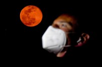 GUATEMALA - 2020'nin son Süper Ay'ı hayran bıraktı