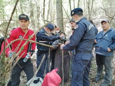 Bolu'da, Kaybolan Yaşlı Kadını Jandarma Timleri Buldu