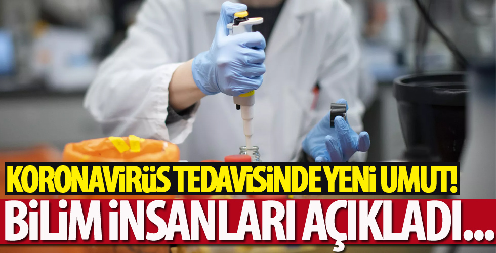 Corona virüsü tedavisi için yeni umut!