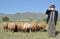 Bakan Pakdemirli Açıklaması 'Mehmet Emin Amcamıza 20 Koyun Hediye Ettik'