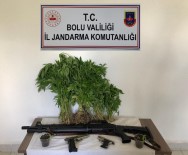 Bolu'da Uyuşturucu Operasyonunda 2 Gözaltı Haberi