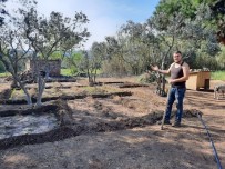 İşsiz Kalınca Evinin Bahçesinde Tarıma Başladı