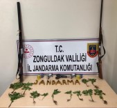 Kdz. Ereğli'de Jandarmadan Uyuşturucu Operasyonu