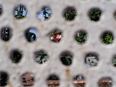 Büyükşehir'de Sanal Sergi Dönemi