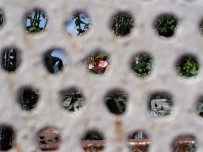 Büyükşehir'de Sanal Sergi Dönemi