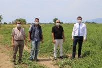 Edremit Karpuzu Adana'ya Rakip Olacak