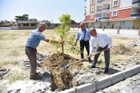 İncirliova'da Ağaçlandırma Çalışmaları Devam Ediyor Haberi