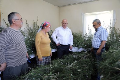 İpek Böcekçiliği, Kadın Üreticilerin Ellerinde Canlanıyor