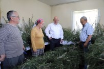 İpek Böcekçiliği, Kadın Üreticilerin Ellerinde Canlanıyor