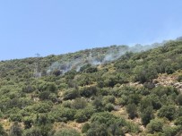 Kaş'ta Makilik Alanda Yangın