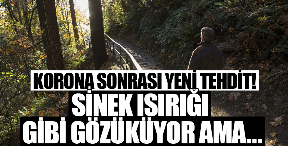 Korona sonrası doğa gezileri trend ama Lyme hastalığı riskine dikkat