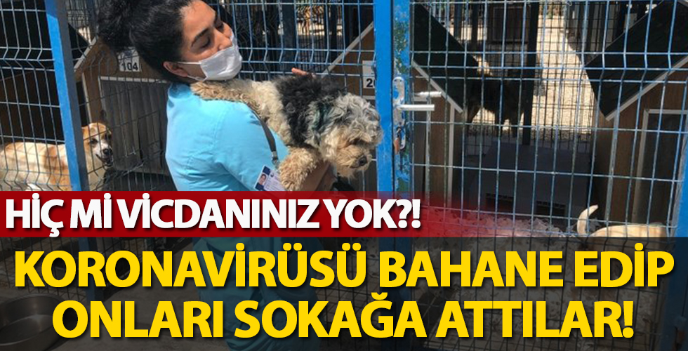 Koronavirüsü bahane edip evcil hayvanlarını sokaklara atıyorlar