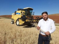 Sungurlu TMO Buğday Alımına Başlıyor