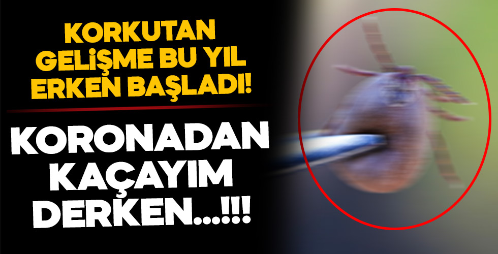 Uzmanlar uyardı: Koronadan kaçayım derken...!!!