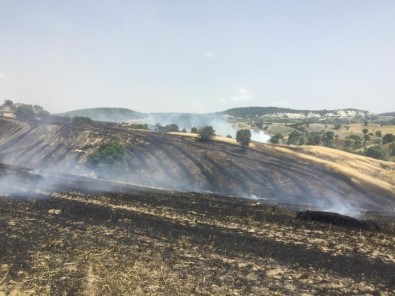 Yangında 60 Dekar Buğday Ekili Tarla Kül Oldu