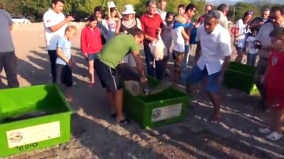 Antalya'da Caretta Carettalar İçin İş Birliği Protokolü İmzalandı