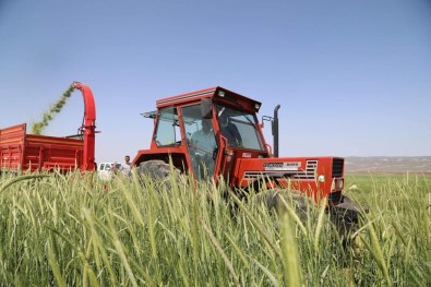 Çiftçilere 780 Milyon Lira Hasar Tazminatı Ödenecek