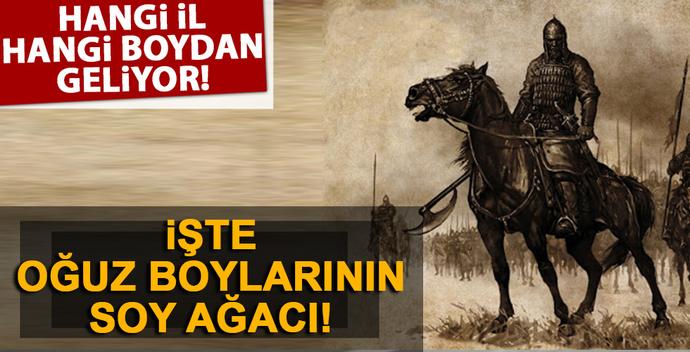 Hangi İl hangi boydan geliyor!