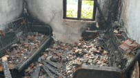 Nallıhan'da Ev Yangını Açıklaması 1 Kişi Hayatını Kaybetti Haberi