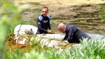 Sivas'ta Balık Adamlar Dipsiz Göl'ü Temizledi