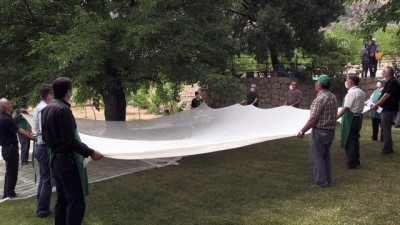 Tut İlçesinin Adını Aldığı Dutta Hasat Telaşı Yaşanıyor