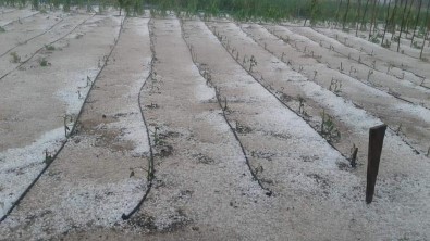 15 Dakika Yağan Dolu Hasara Yol Açtı