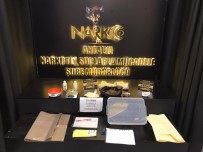 Antalya'da Bonzai İmalathanesi Çökertildi, 2 Kişi Tutuklandı