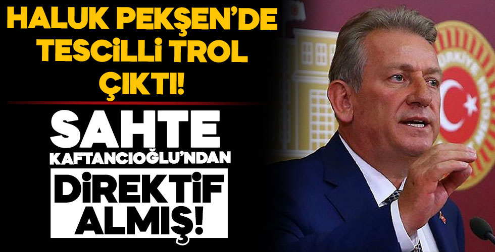 Haluk Pekşen de tescilli troll çıktı!