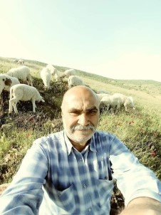 Koyun Otlatmaya Giden Adam Ölü Bulundu