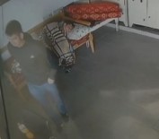 Su İçmek İçin Geldi, Uyuyan Görevlinin Telefonu Çaldı