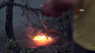 Taşova'da Örtü Yangını