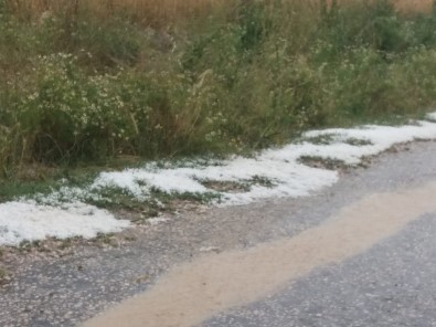 Amasya'da Ceviz Büyüklüğündeki Dolu, Tarım Alanlarını Vurdu