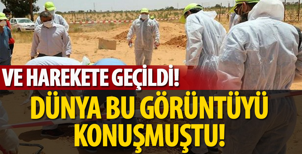 Dünya bu görüntüyü konuşmuştu! Harekete geçildi...
