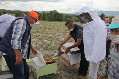 Gezgin Arıcılar Emet'te Buluştu
