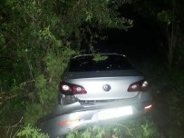 Lastiğe Çarpan Otomobil Tarlaya Uçtu Açıklaması 7 Yaralı Haberi