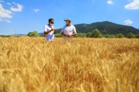 Muğla Büyükşehir'in Çiftçilere Desteği Sürüyor