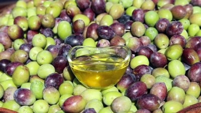 Zeytinyağı Üreticisi Gelin Kaynana Hedef Büyüttü